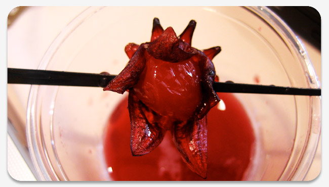 Hibiscus garnish