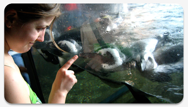 Gretchen bonding with penguins